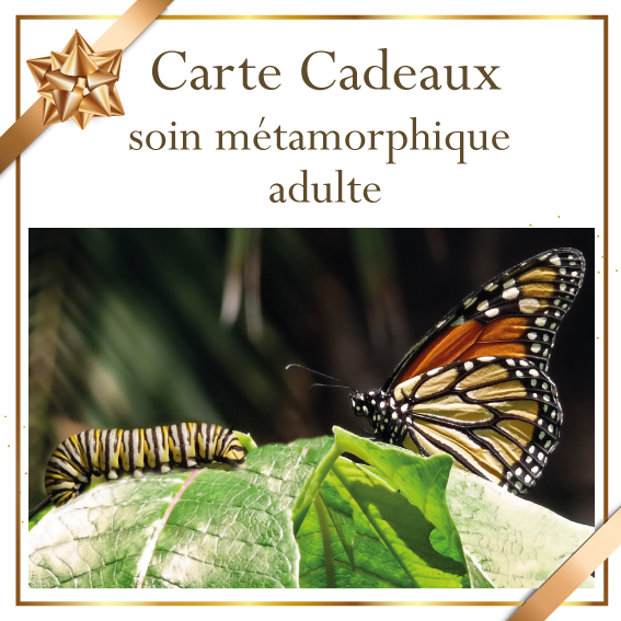 Carte cadeau soin métamorphique adulte